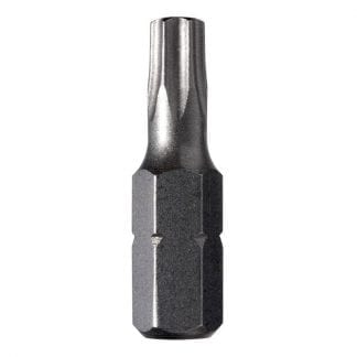 Alpha insert bits - torx drive with security post hole - photo