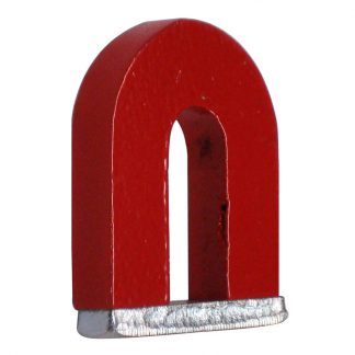 Medalist horseshoe magnet - photo