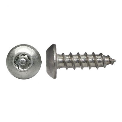 Security screws - post torx button head - needle point - photo