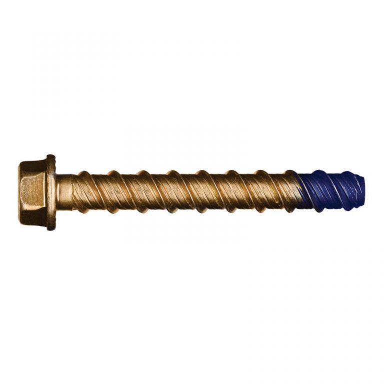 Dewalt BlueTip screw bolt anchors hex flange head