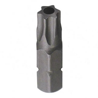 Insert bits - torx drive with security post hole photo