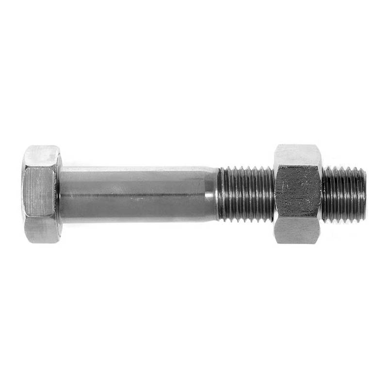 Hex head bolts - with nuts photo