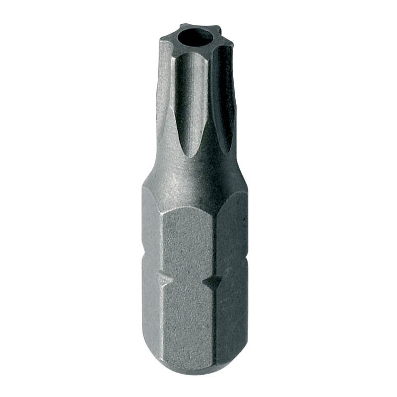 Prolok power bits - torx drive with security post hole photo